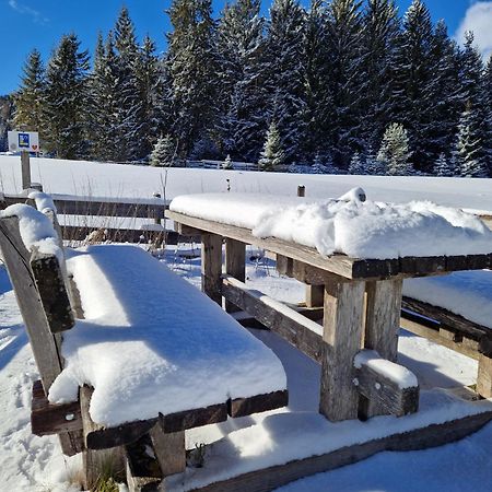 Wohlfuehl-Appartement Bergsee Family - Am Wildsee - Sup Und Schlitten For Free Зеефелд в Тирол Екстериор снимка
