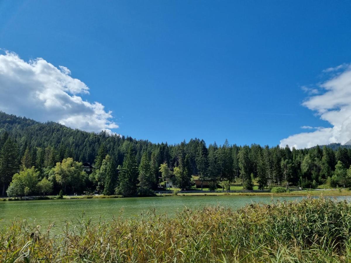Wohlfuehl-Appartement Bergsee Family - Am Wildsee - Sup Und Schlitten For Free Зеефелд в Тирол Екстериор снимка