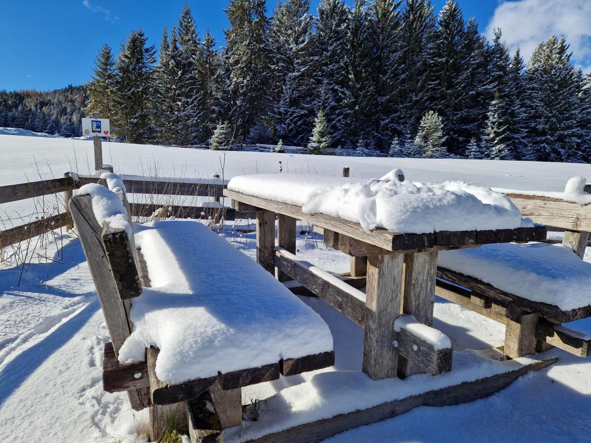 Wohlfuehl-Appartement Bergsee Family - Am Wildsee - Sup Und Schlitten For Free Зеефелд в Тирол Екстериор снимка