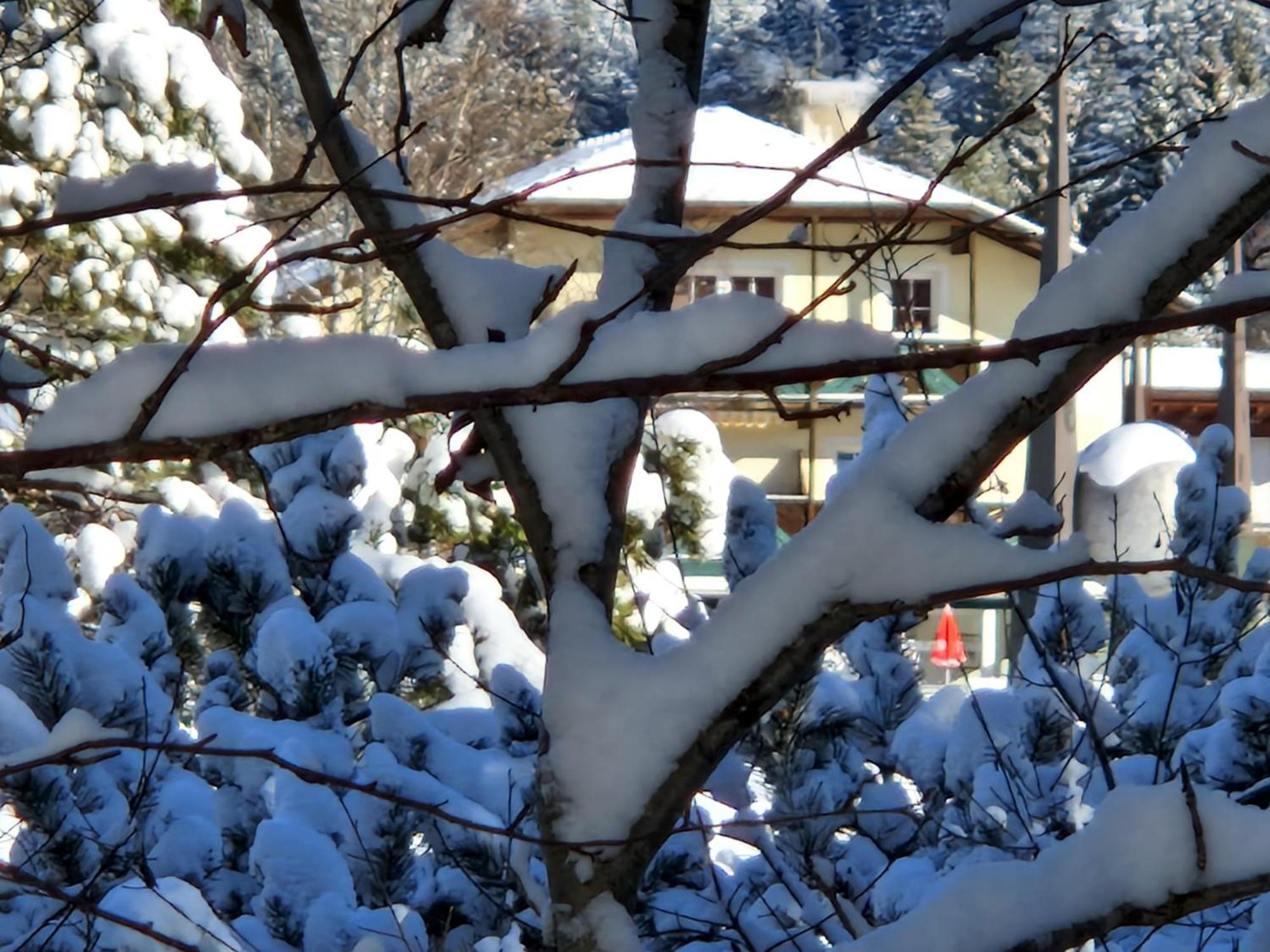 Wohlfuehl-Appartement Bergsee Family - Am Wildsee - Sup Und Schlitten For Free Зеефелд в Тирол Екстериор снимка